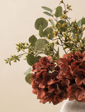 setcollectives Arrangement - Eucalyptus & Cinnamon Hydrangea