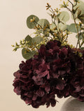 setcollectives Arrangement - Eucalyptus & Rouge Hydrangea